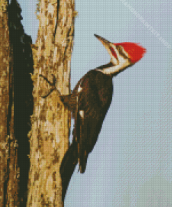 Pileated Woodpecker On Tree Diamond Painting