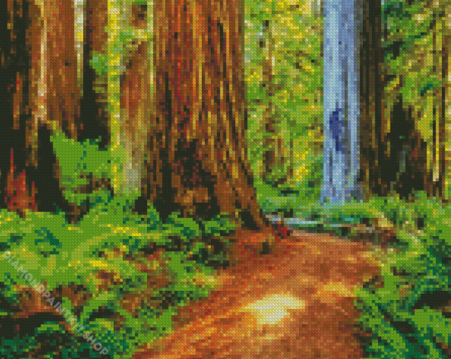 Redwoods Forest Diamond Painting