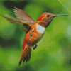 Rufous Hummingbird Diamond Painting