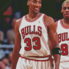 Scottie Pippen Chicago Bulls Diamond Painting