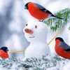 Snowman With Birds Diamond Painting