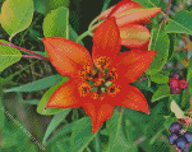 Western Red Lily Diamond Painting