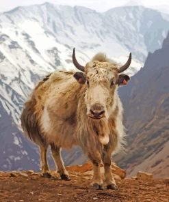 Yak Animal Diamond Painting