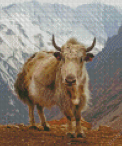 Yak Animal Diamond Painting