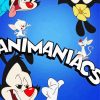 Animaniacs Poster Diamond Painting