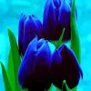 Bleu Tulips Diamond Painting