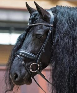 Braid Horse Hair Head With Bridle Diamond Painting