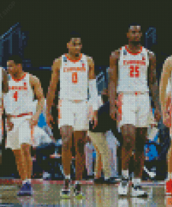 Clemson University Basketball Team Diamond Painting