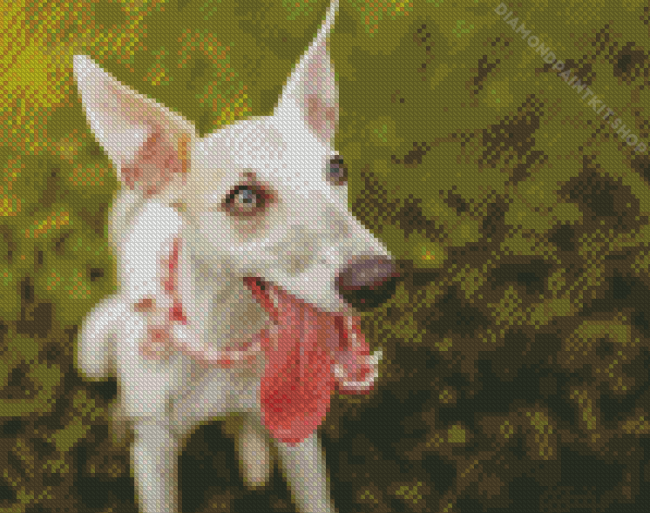 Cute Whippet Dog Diamond Painting