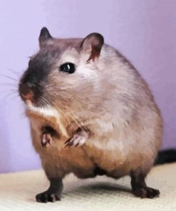 Dark Mongolian Gerbil Diamond Painting