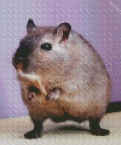 Dark Mongolian Gerbil Diamond Painting