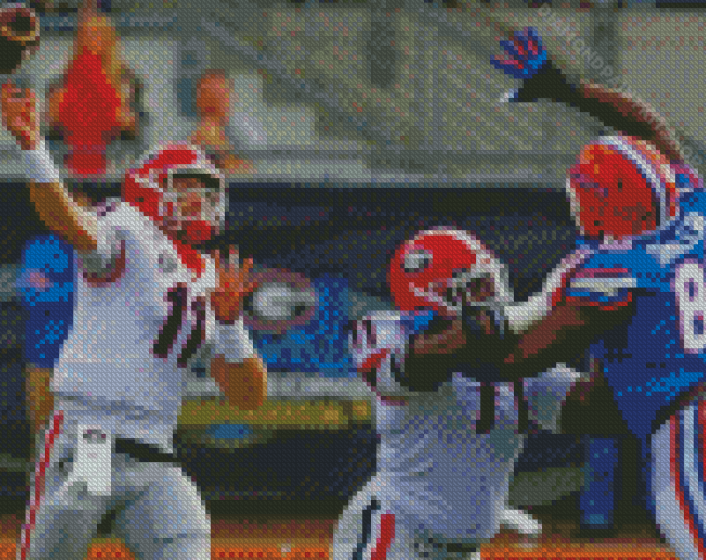 Florida Gators Game Diamond Painting