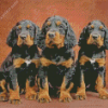 Gordon Setter Puppies Diamond Painting