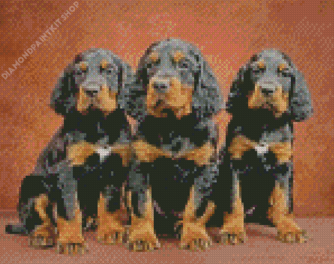 Gordon Setter Puppies Diamond Painting