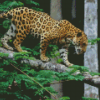 Jaguar And Forest Diamond Painting