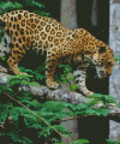 Jaguar And Forest Diamond Painting