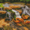 Reedy River Greenville Diamond Painting