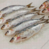 Sardine Fish Diamond Painting