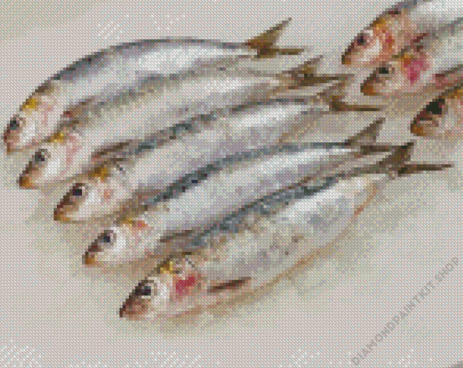 Sardine Fish Diamond Painting