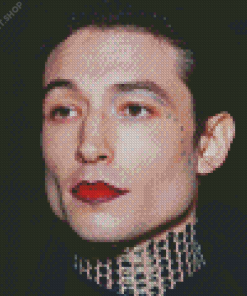 The Actor Ezra Miller Diamond Painting