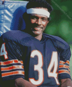 The American Football Player Walter Payton Diamond Painting