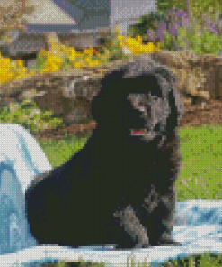 Black Newfoundland Puppy Diamond Painting