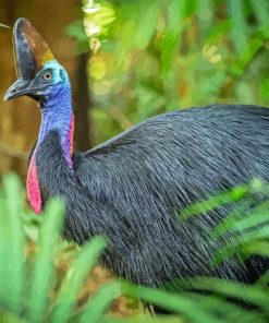 Cassowary Bird Diamond Painting