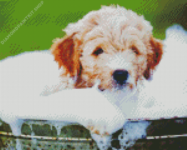 Dog In Bath Diamond Painting