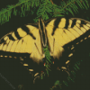 Eastern Tiger Swallowtail Diamond Painting