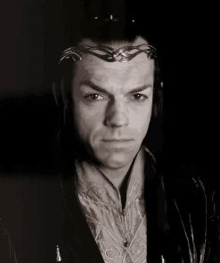 Elrond Lord Of The Rings Diamond Painting