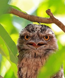 Frogmouth Bird Diamond Painting