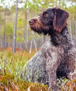 German Wirehaired Diamond Painting