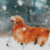 Golden Retriever Enjoying The Snow Diamond Painting