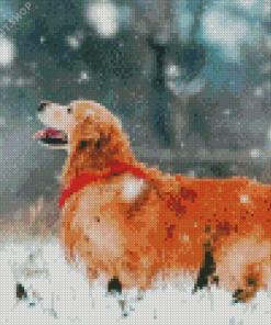 Golden Retriever Enjoying The Snow Diamond Painting