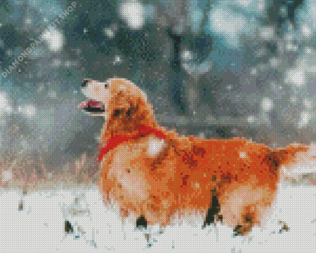 Golden Retriever Enjoying The Snow Diamond Painting