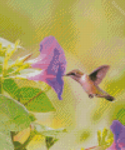 Hummingbird And Morning Glory Flower Diamond Painting