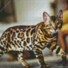 Leopard Cat Diamond Painting