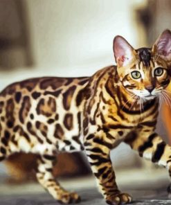 Leopard Cat Diamond Painting