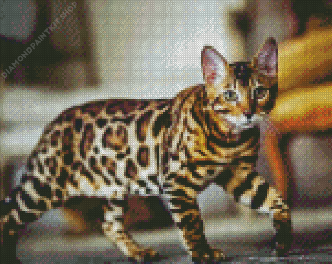 Leopard Cat Diamond Painting