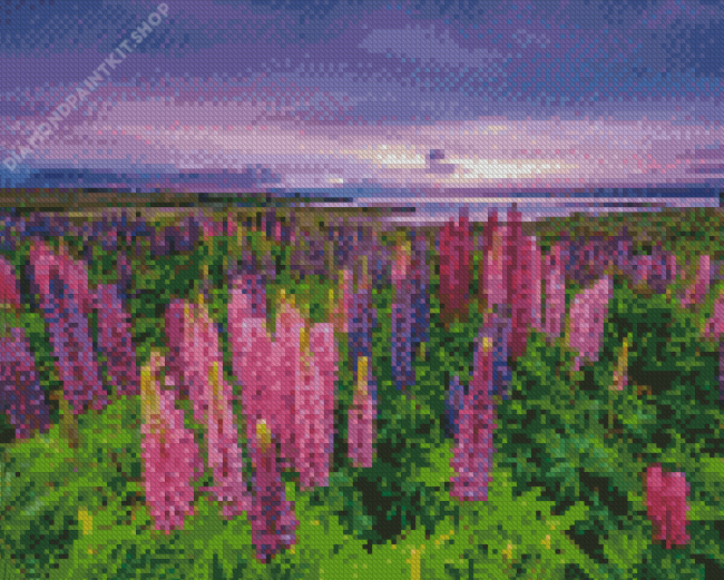 Lupines Field Landscape Diamond Painting