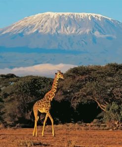 Mount Kilimanjaro Tanzania Diamond Painting