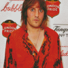 Noel Fielding Diamond Painting