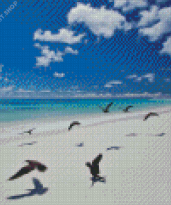 Ocean Beach With Birds Diamond Painting