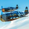 P47 Thunderbolt Diamond Painting