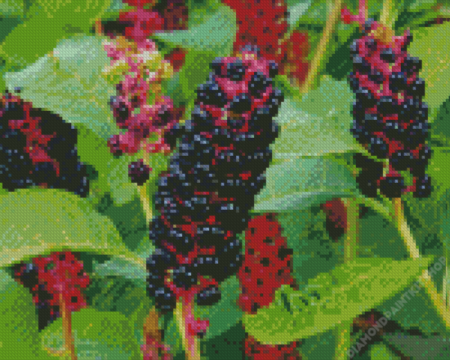 Pokeweed Plant Diamond Painting