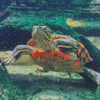 Red Turtle Underwater Diamond Painting