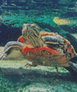 Red Turtle Underwater Diamond Painting