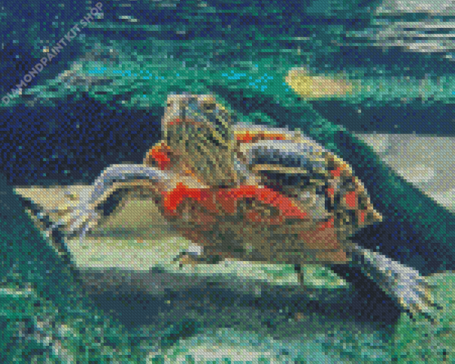 Red Turtle Underwater Diamond Painting