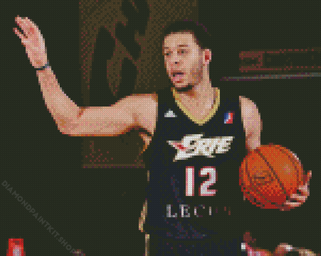 Seth Curry Diamond Painting