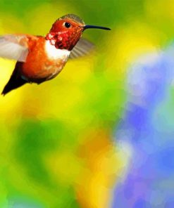 Spring Rufous Hummingbird Diamond Painting